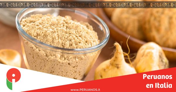 La maca: el gingseng peruano energizante y afrodisÃaco - Peruanos en Italia
